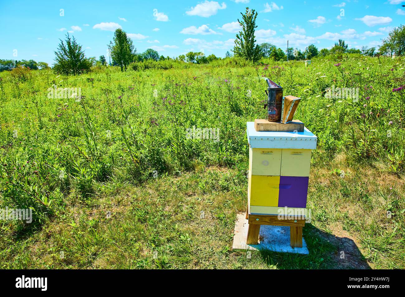 Farbenfroher Bienenkorb in blühender Wiese mit Blick auf die Augenhöhe von Bee Smoker Stockfoto