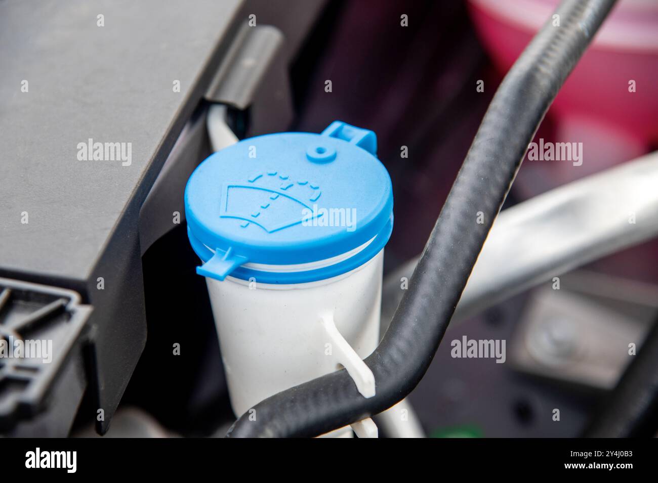 Eine Flasche Scheibenwaschflüssigkeit Stockfoto