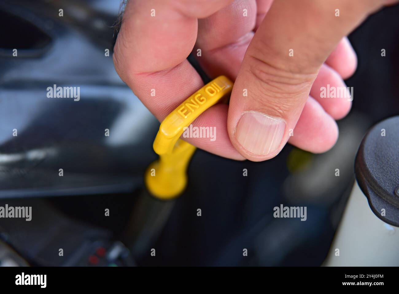 Prüfen des Ölstands im Fahrzeugmotor Stockfoto
