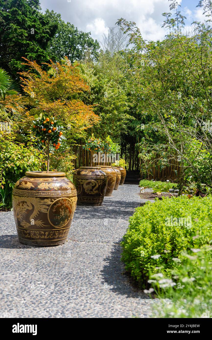 Eine ruhige Szene im Botanischen Garten mit kunstvollen Töpfen, üppigem Grün und einem Kieselweg, der sich durch den Garten schlängelt, in Leiden, Niederlande Stockfoto