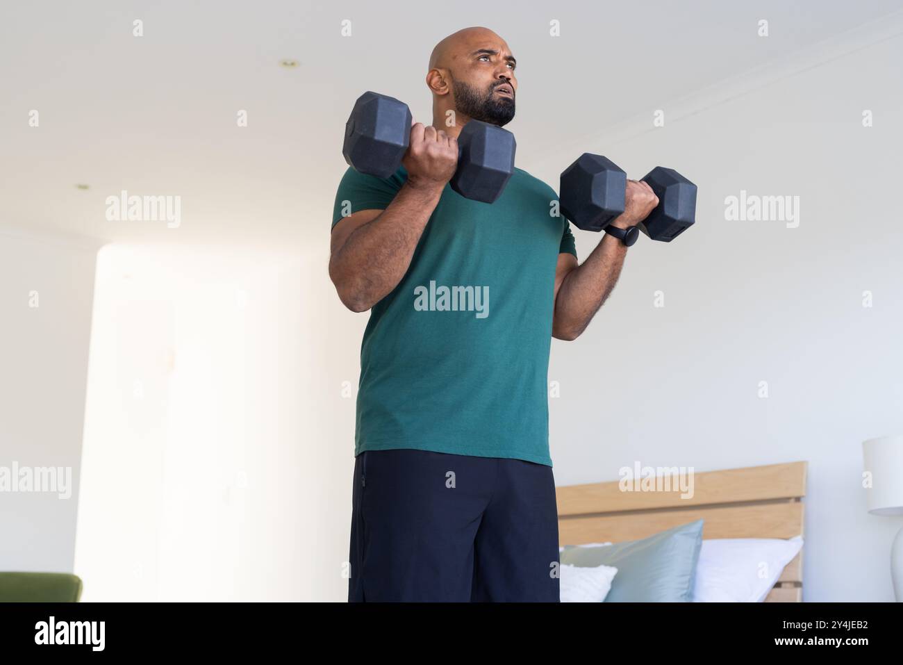 Heben Sie Kurzhanteln, trainieren Sie zu Hause für Krafttraining Stockfoto