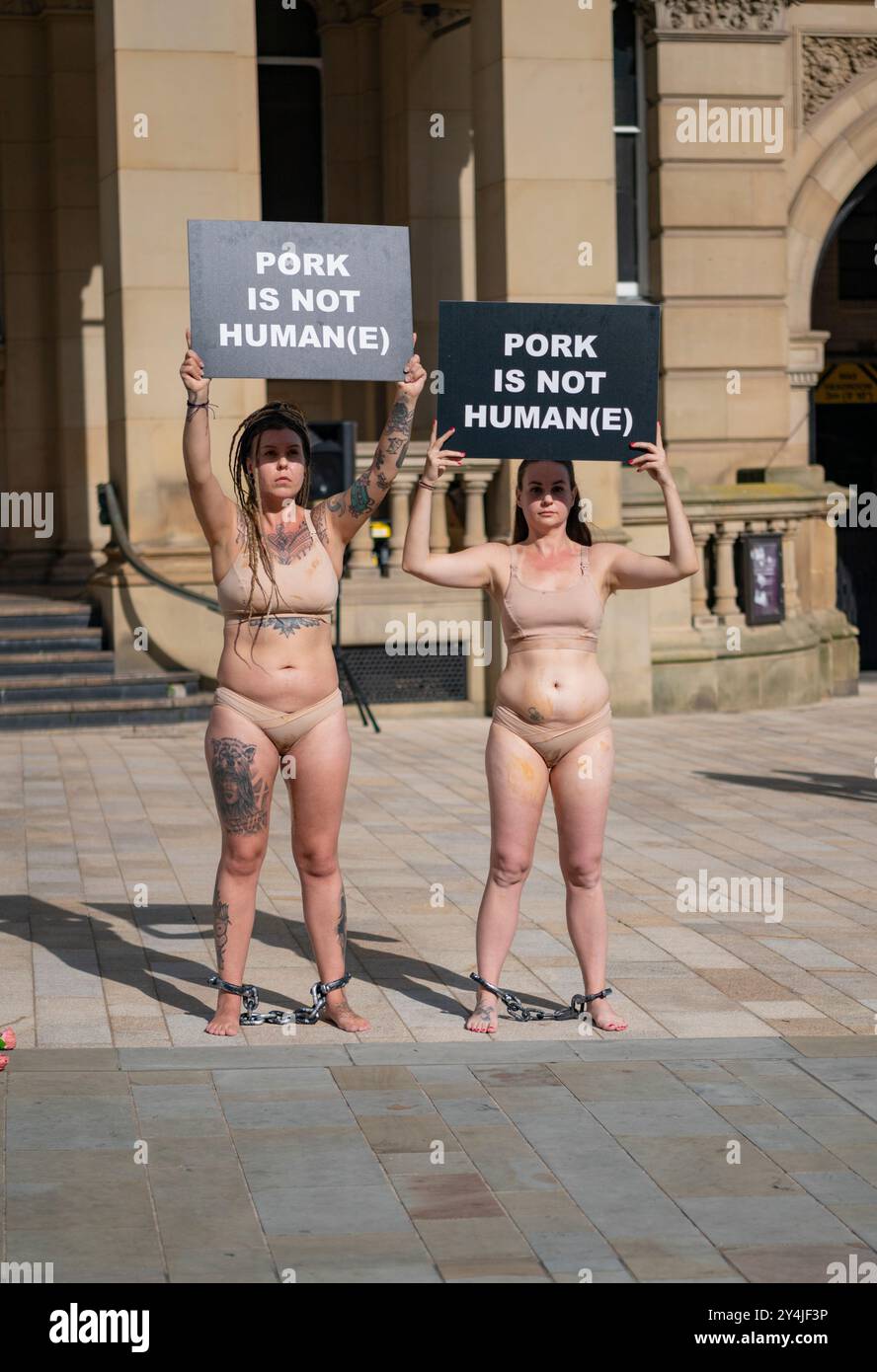 Animal Justice Project x speciesism.wtf Animal Rights Art Installation Protest in Birmingham City Centre, 14. September 2024, vor der Birmingham Art Gallery and Museum. Stockfoto