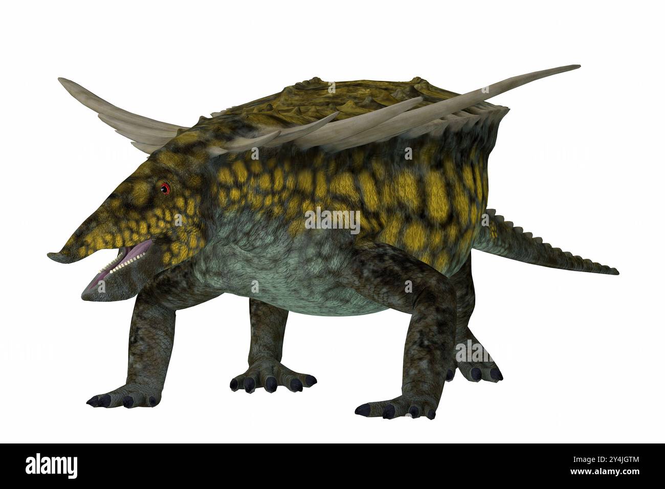 Desmatosuchus war ein Pflanzenfresser mit einem gepanzerten Körper, die in der Trias Zeit von Arizona und Texas gelebt. Stockfoto