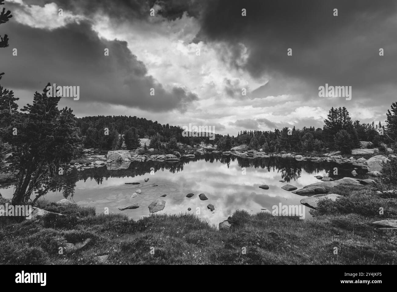 Absaroka Beartooth Wilderness Wyoming Reflexion von Himmel, Wolken, Felsen und Baumlandschaft Stockfoto