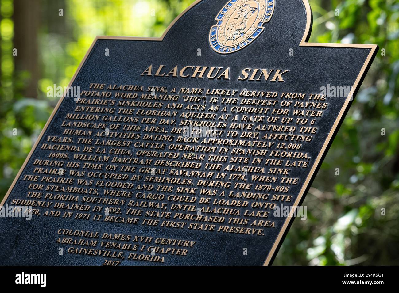 Am Alachua Sink entlang des La Chua Trail im Paynes Prairie Preserve State Park in Gainesville, Florida. (USA) Stockfoto