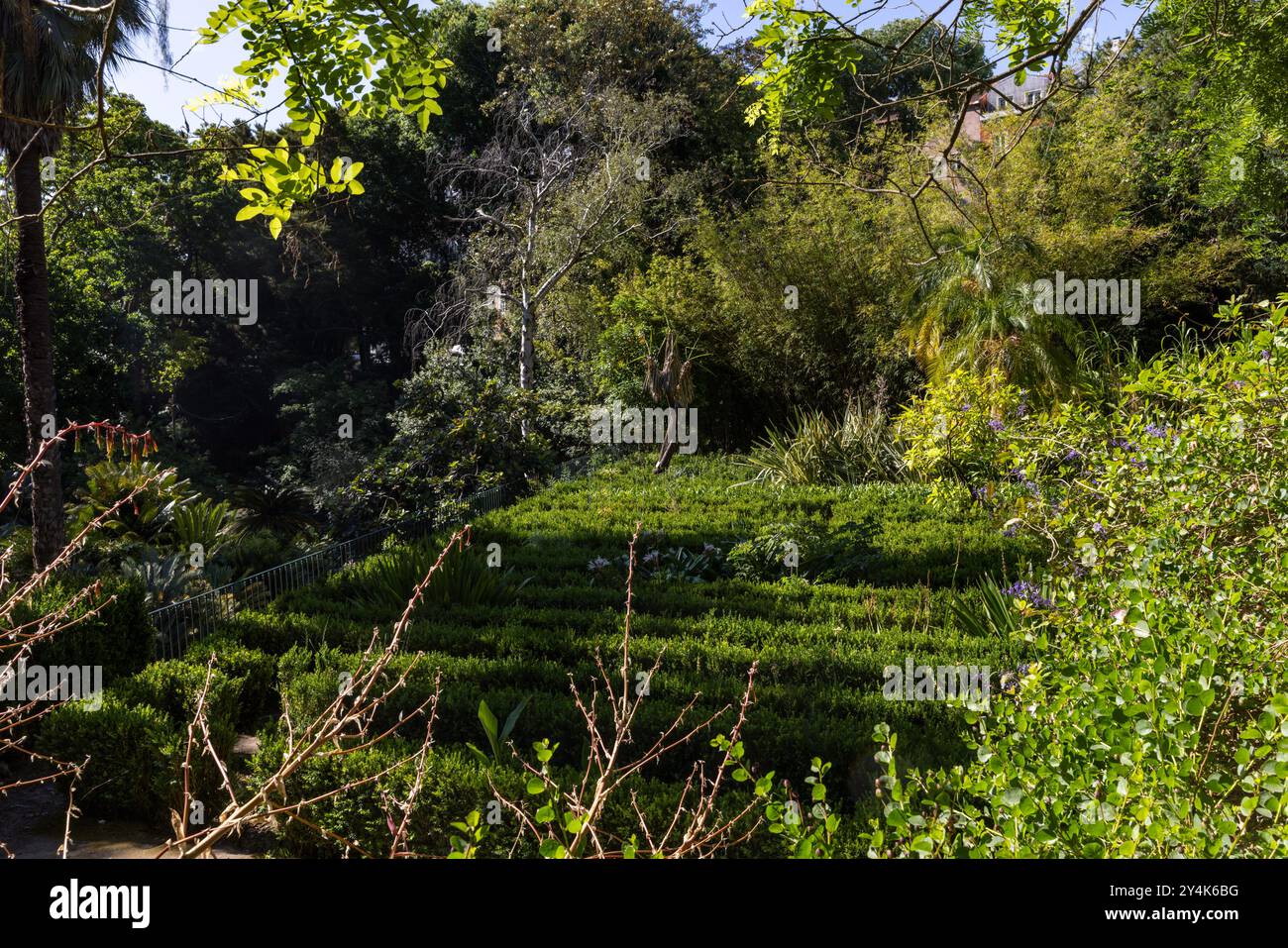 Der Botanische Garten der Universität Lissabon in Lissabon, Portugal Stockfoto