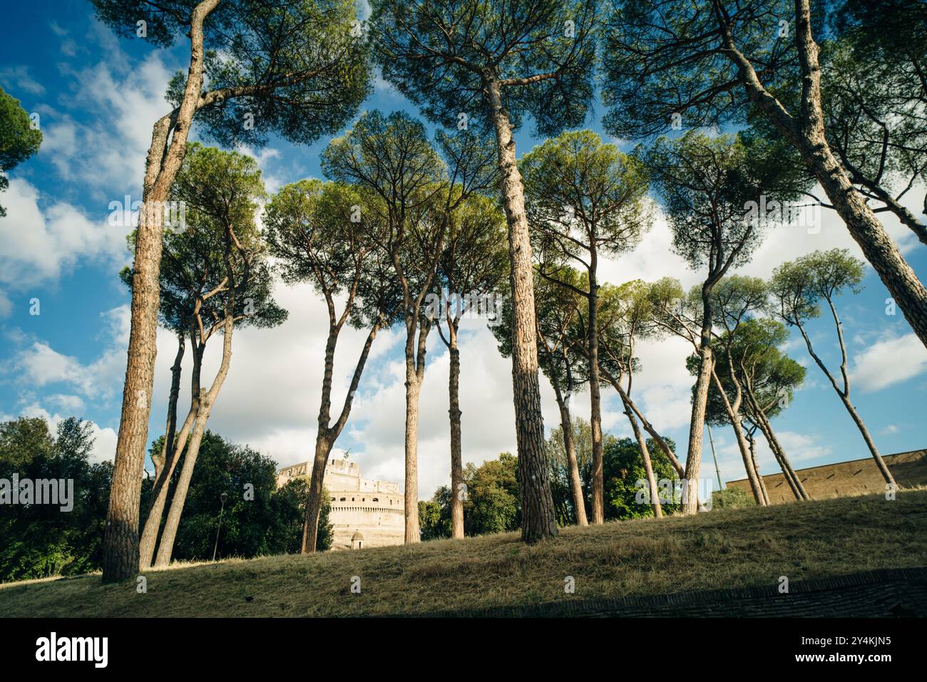 Blick über Circus Maximus - altes römisches Stadion für Wagenrennen. italien - 2. Mai 2024. Hochwertige Fotos Stockfoto