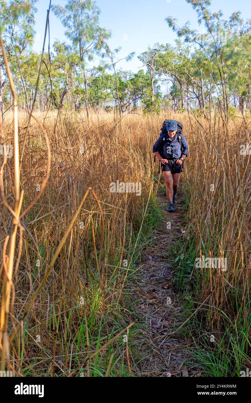 Wandern durch Speergras auf dem Tabletop Track Stockfoto