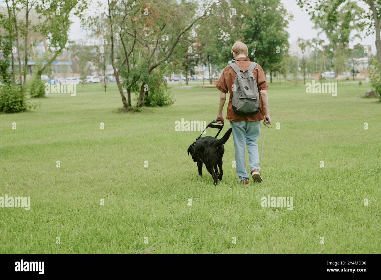Rückansicht eines blinden Mannes, der mit schwarzem Blindenhund im grünen Park aufwacht Stockfoto