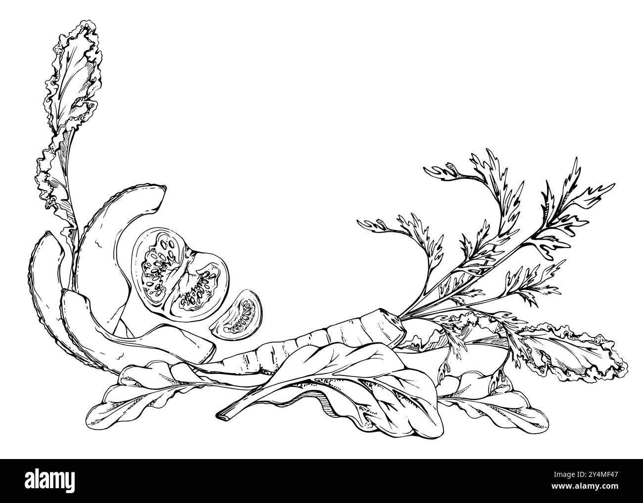 Gemüse- und Kräutermischung für Ernährung und gesunden Lebensstil, Salat vegane Kochen. Handgezeichnete Vektortinte. Darstellung isoliert auf weiß Stock Vektor