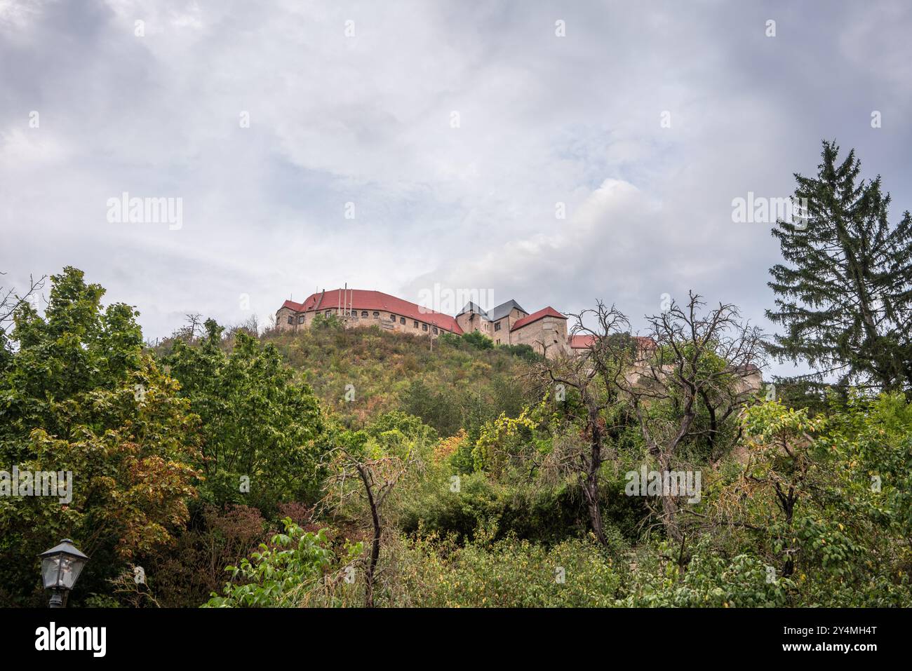 Blick auf Schloss Neuenburg von der Mühlstraße in Freyburg, Burgenlandkreis, Sachsen-Anhalt, Deutschland, Europa Stockfoto