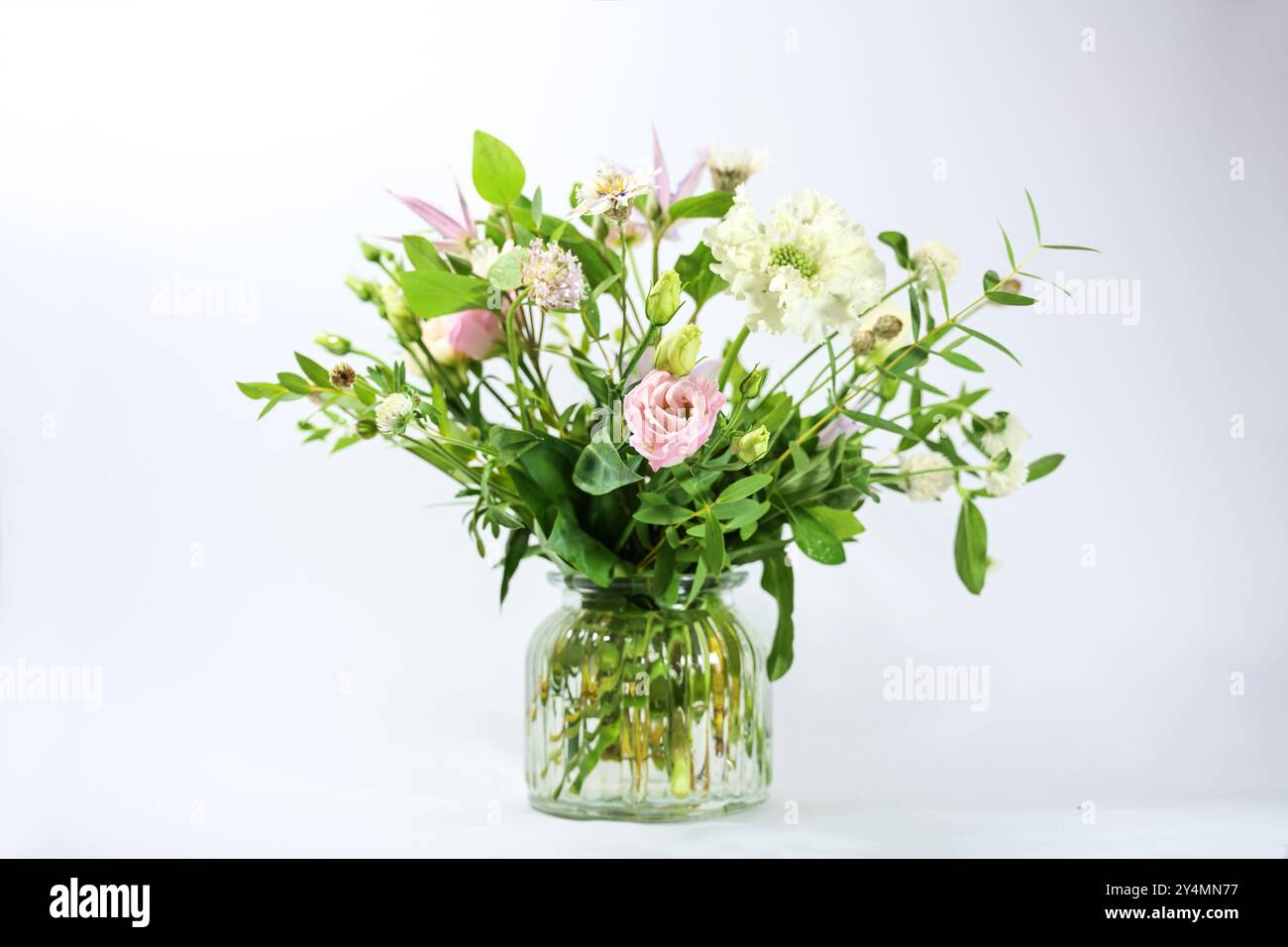 Blumenstrauß aus zarten Blumen mit weißen und zarten rosa Blüten in einer Glasvase vor hellgrauem Hintergrund, Kopierraum, ausgewählter Fokus, schmale Tiefe Stockfoto