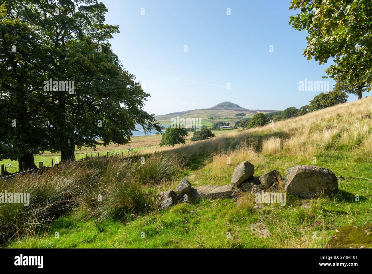 West Lomond Hill im Lomond Hills Regional Park mit Ballo Reservoir, Fife, Schottland Stockfoto