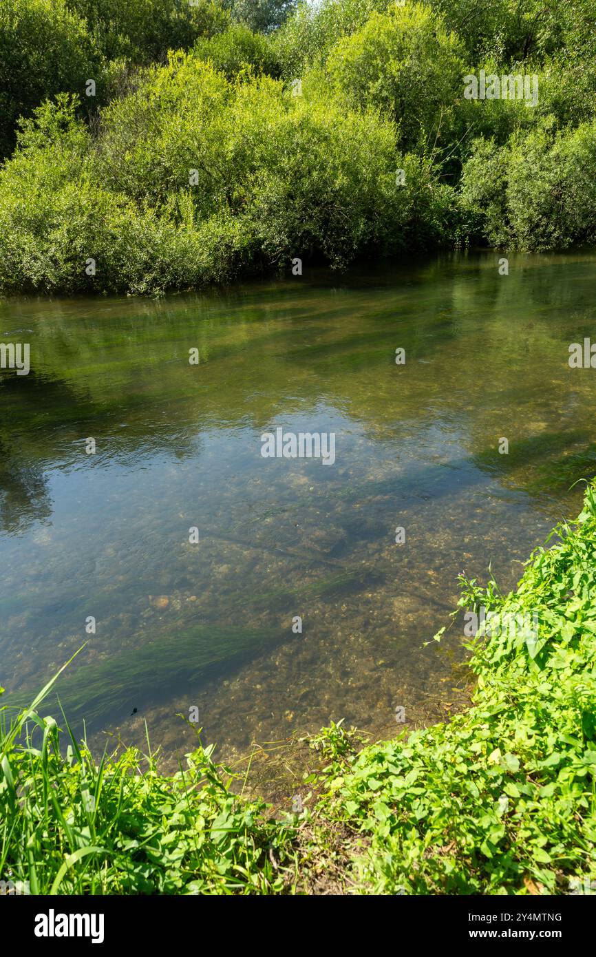Fluss Nadder am Stadtrand von Salisbury, Wiltshire, England Stockfoto