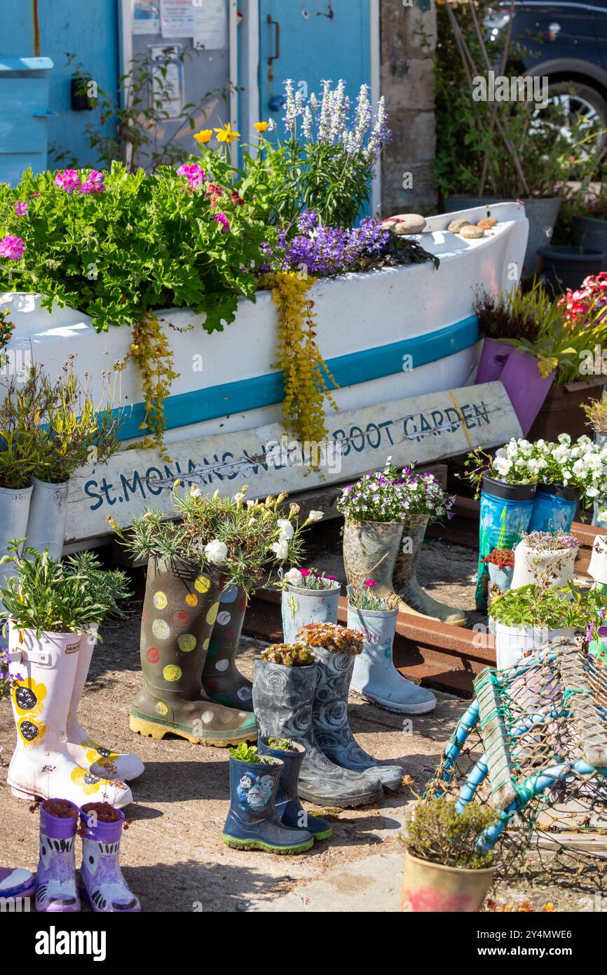 St. Monans Welly Stiefelgarten, Wellington Stiefel mit Blumen bepflanzt. St Monans, Fife, Schottland Stockfoto