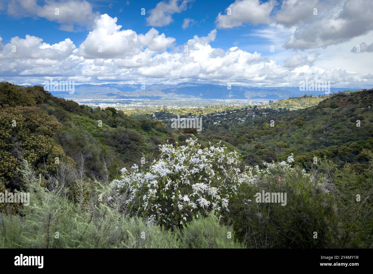 Malerische Aussicht auf das San Fernando Valley, das „Tal“ genannt wird, Kalifornien, USA, vor blauem Himmel mit Wolken Stockfoto