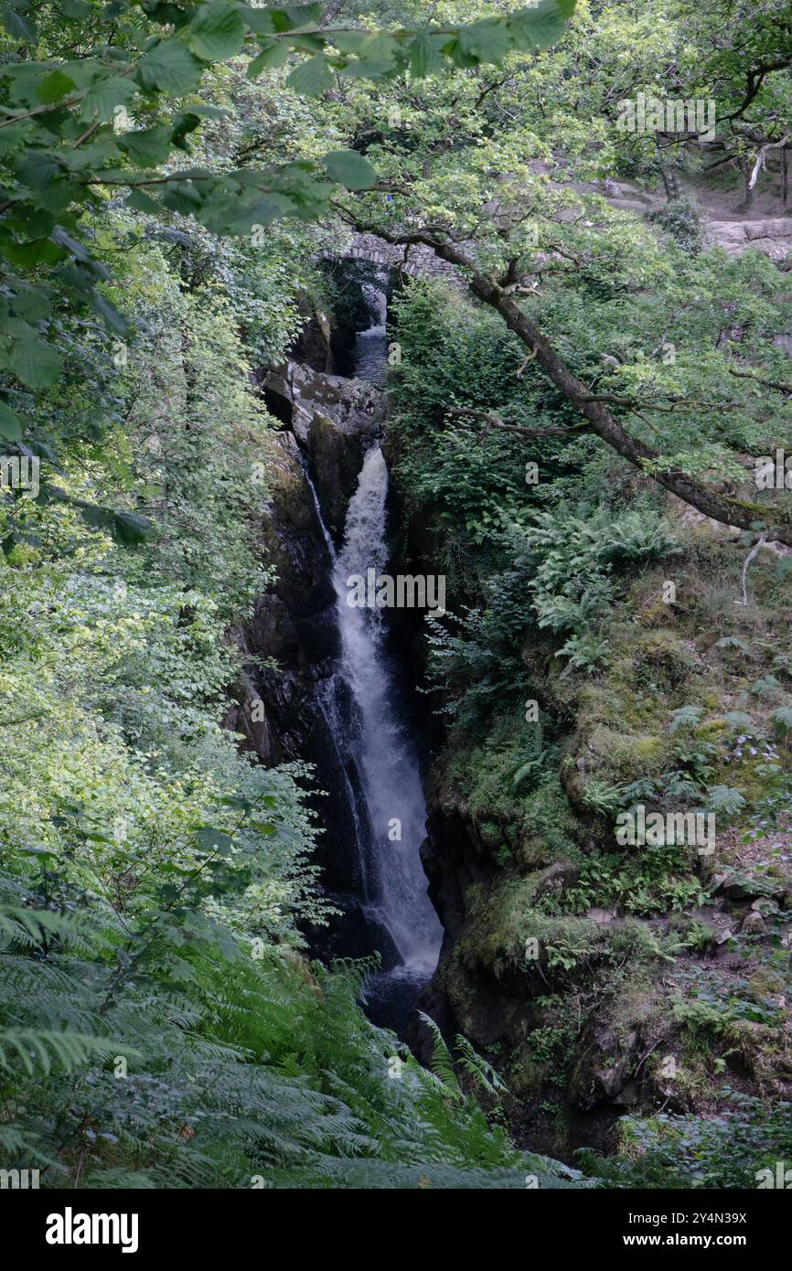 Wasserfall der Aira Force im Lake District. Stockfoto