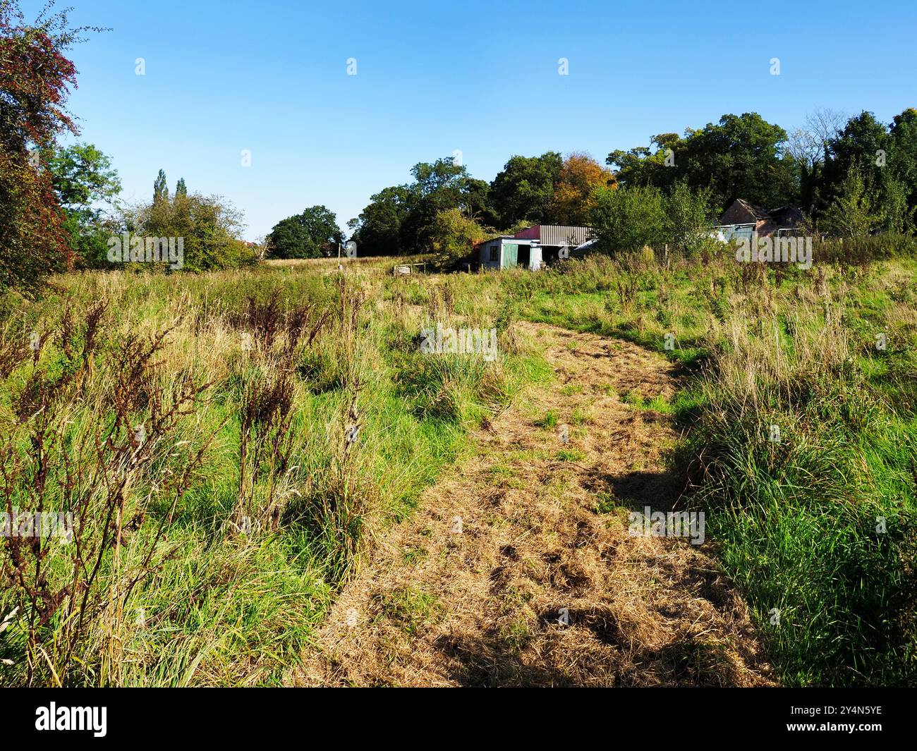 Knaresborough Forest Park Knaresborough North Yorkshire England Stockfoto
