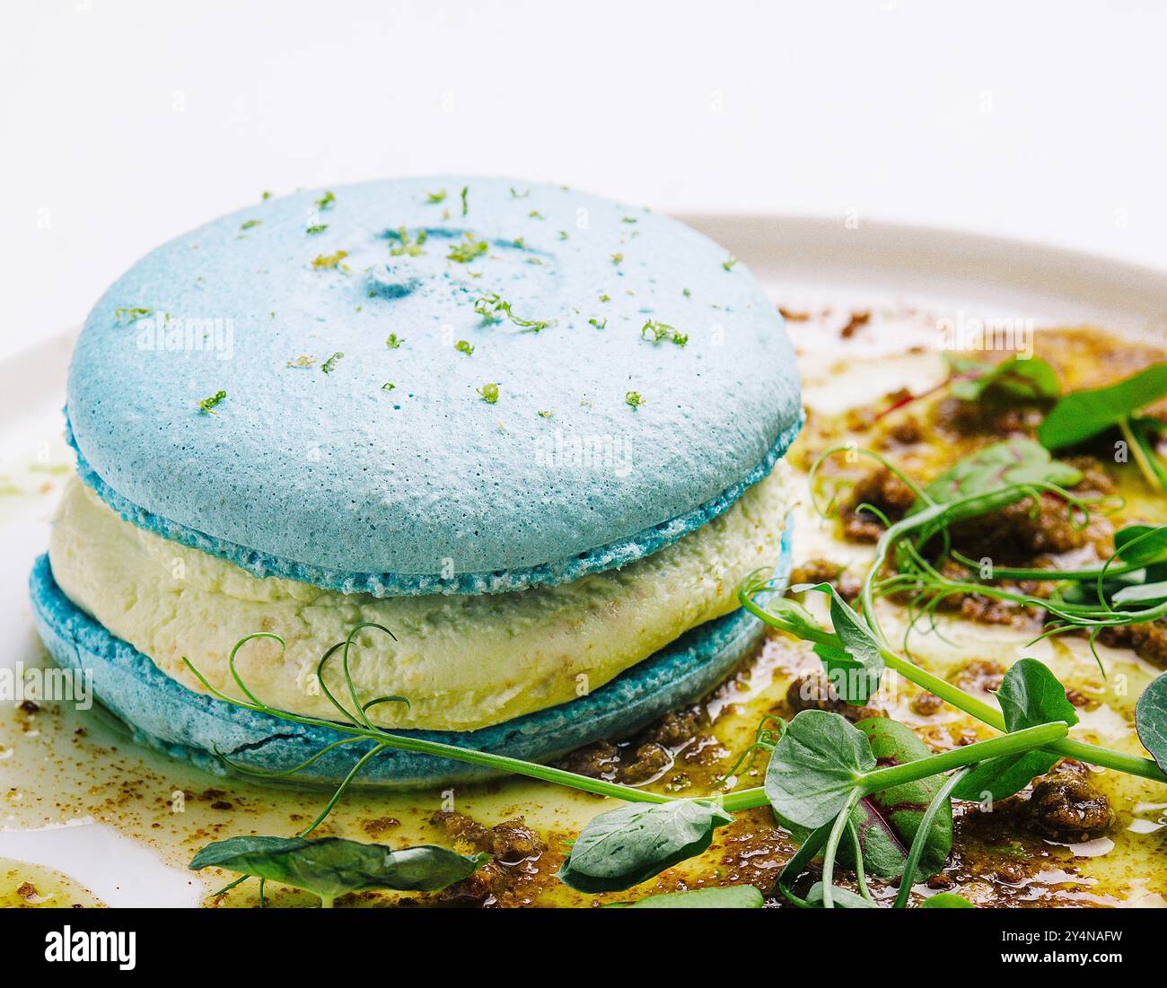 Molekulare Küche. Macarons mit Pastete auf weißer Platte Stockfoto
