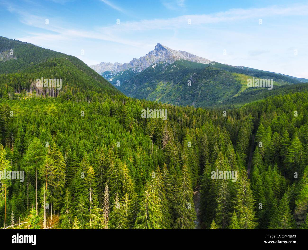 Herrliche Berglandschaft Krivan Gipfel Symbol der Slowakei in der Hohen Tatra, Slowakei Stockfoto