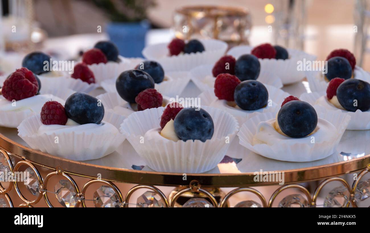 Nahaufnahme eines Tabletts mit süßen brombeer- und Heidelbeerbissen mit unscharfem Hintergrund Stockfoto