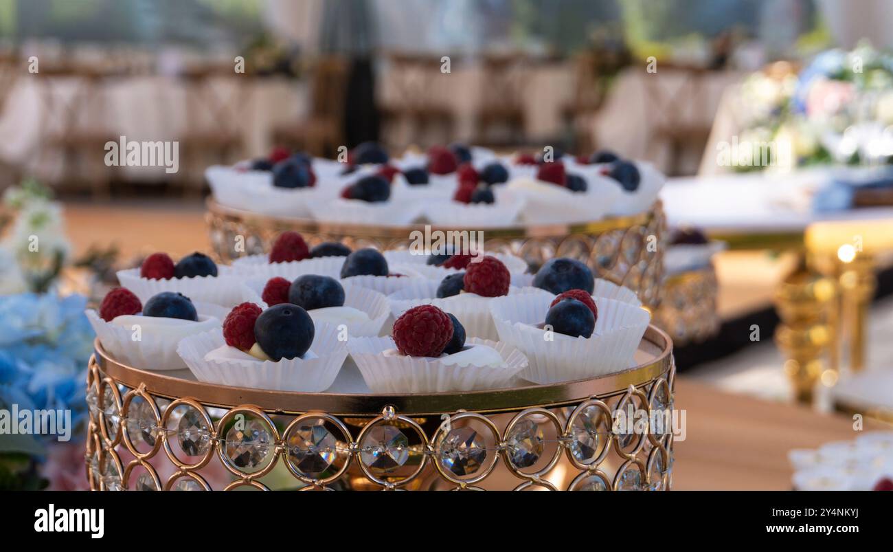 Nahaufnahme von Tabletts mit süßen brombeeren und Heidelbeeren Snacks vor verschwommenem Hintergrund der Partyhalle Stockfoto