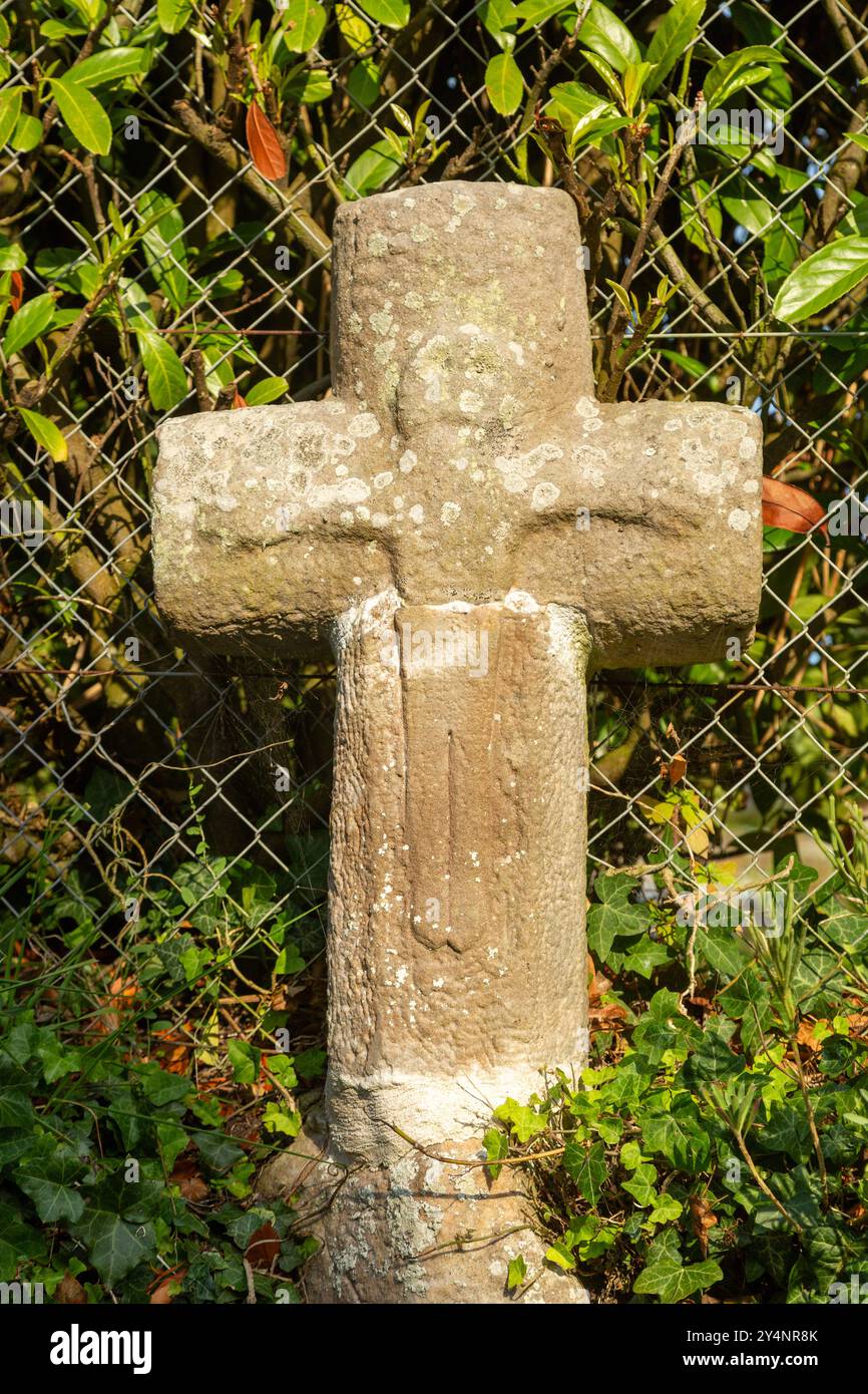 Altes gemeißeltes Steinkreuz in den Ruinen der Kirche Saint Nicolas aus dem 16. Jahrhundert, Veules-les-Roses, Normandie, Frankreich Stockfoto