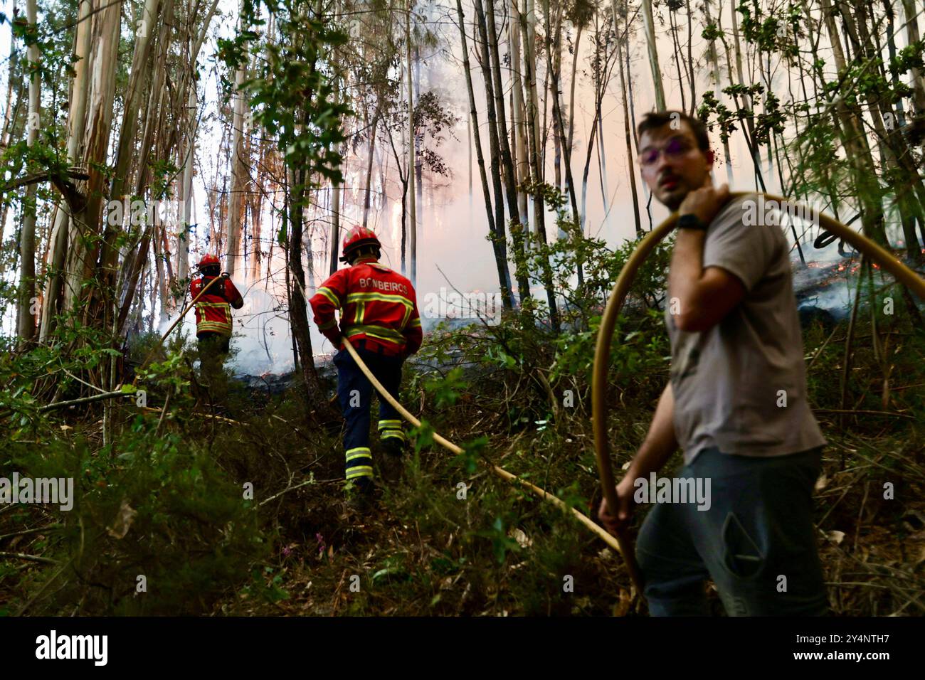 Feuerwehrleute bekämpfen ein Waldfeuer in Busturenga, Sever do Vouga, 16. September 2024. Mehr als 1.000 Feuerwehrleute haben heute im Zentrum Portugals einen Waldbrand bekämpft, als Beamte warnten, dass Tausende von Hektar bei den steigenden Temperaturen im ganzen Land in Gefahr seien. Stockfoto