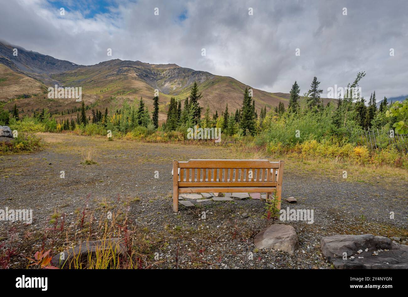 Holzbank im Tombstone Territorial Park im Yukon Territory, Kanada Stockfoto