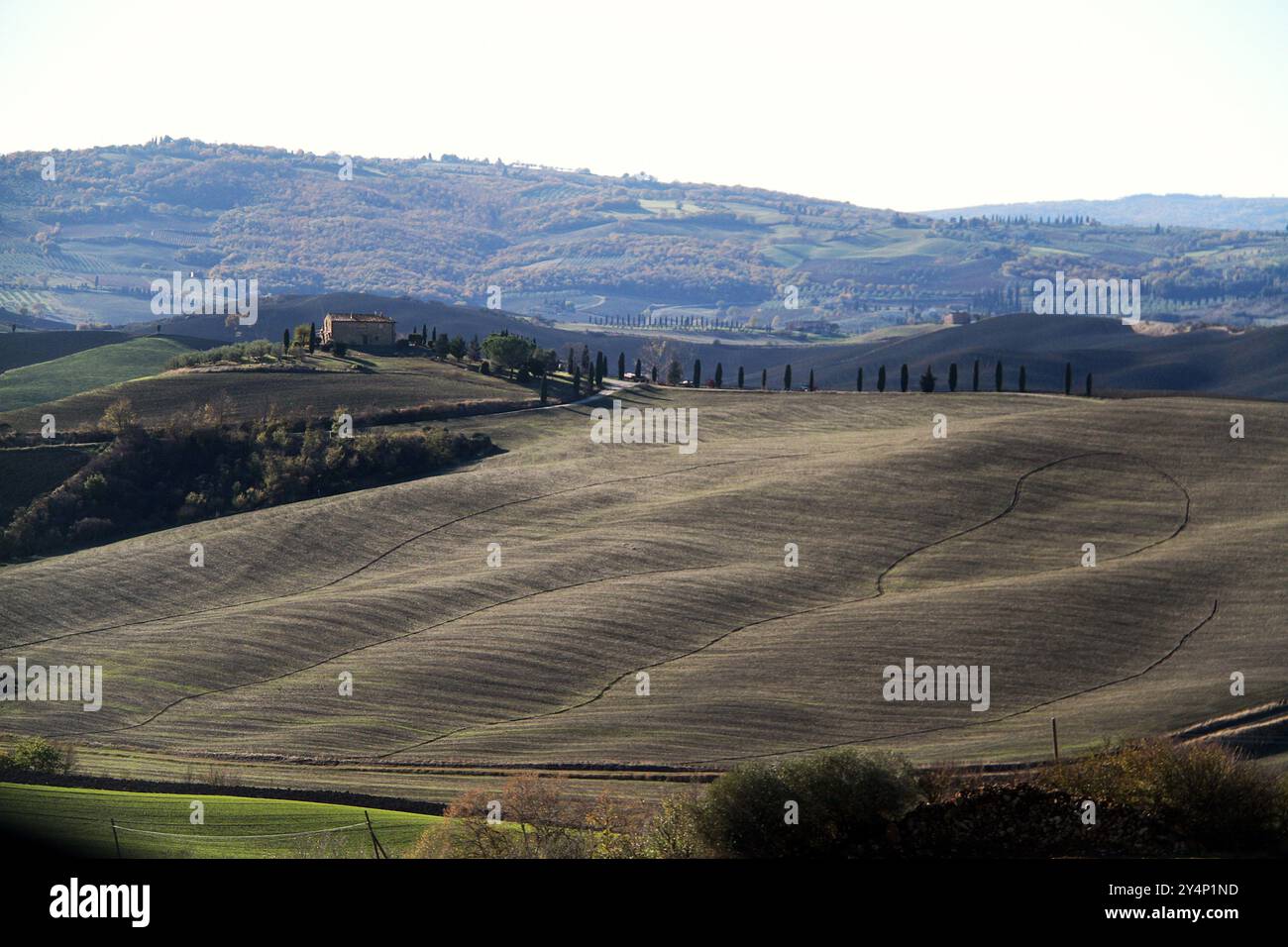 Landschaft Ende November im Val d'Orcia, Italien Stockfoto