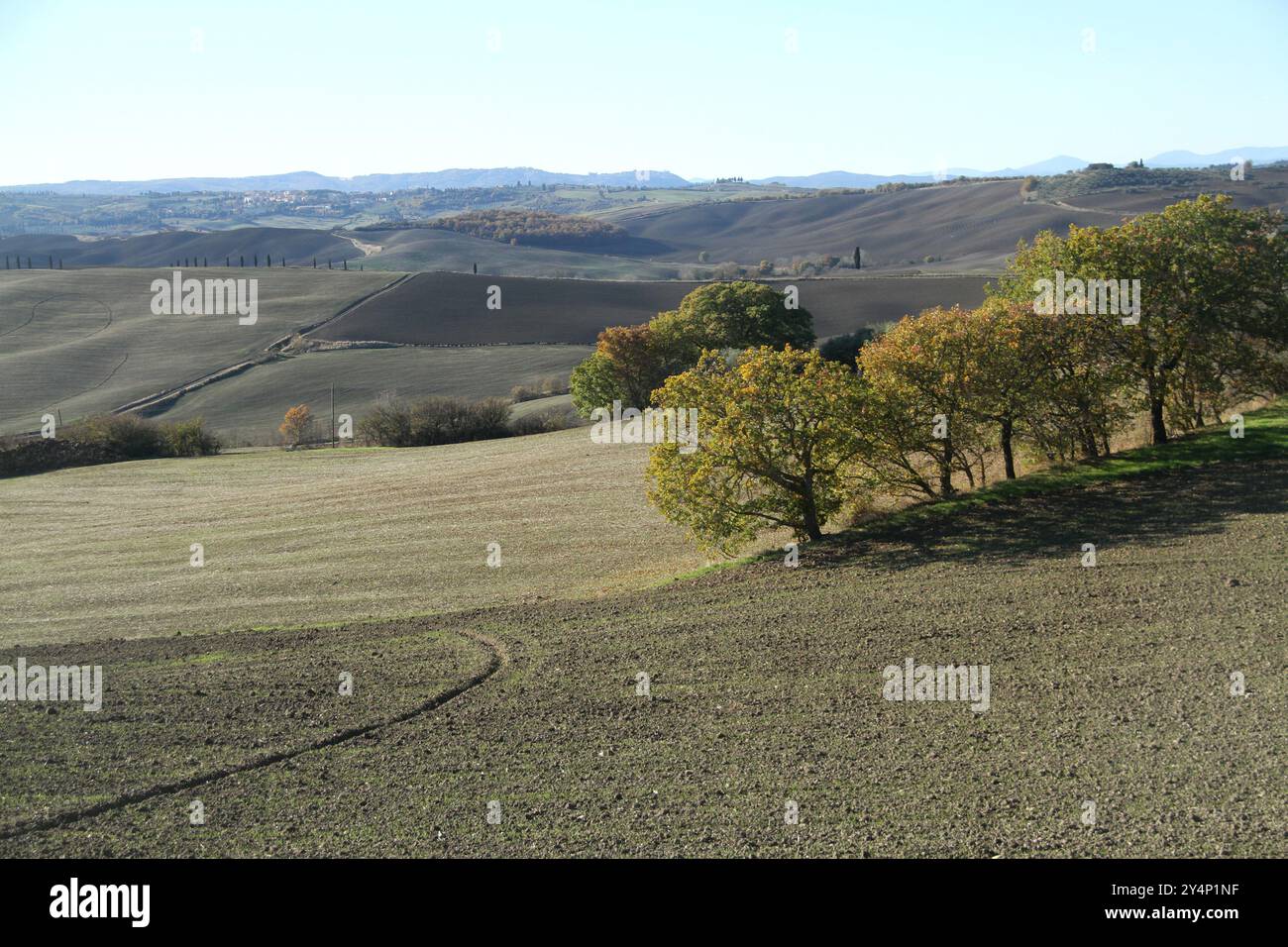 Landschaft Ende November im Val d'Orcia, Italien Stockfoto