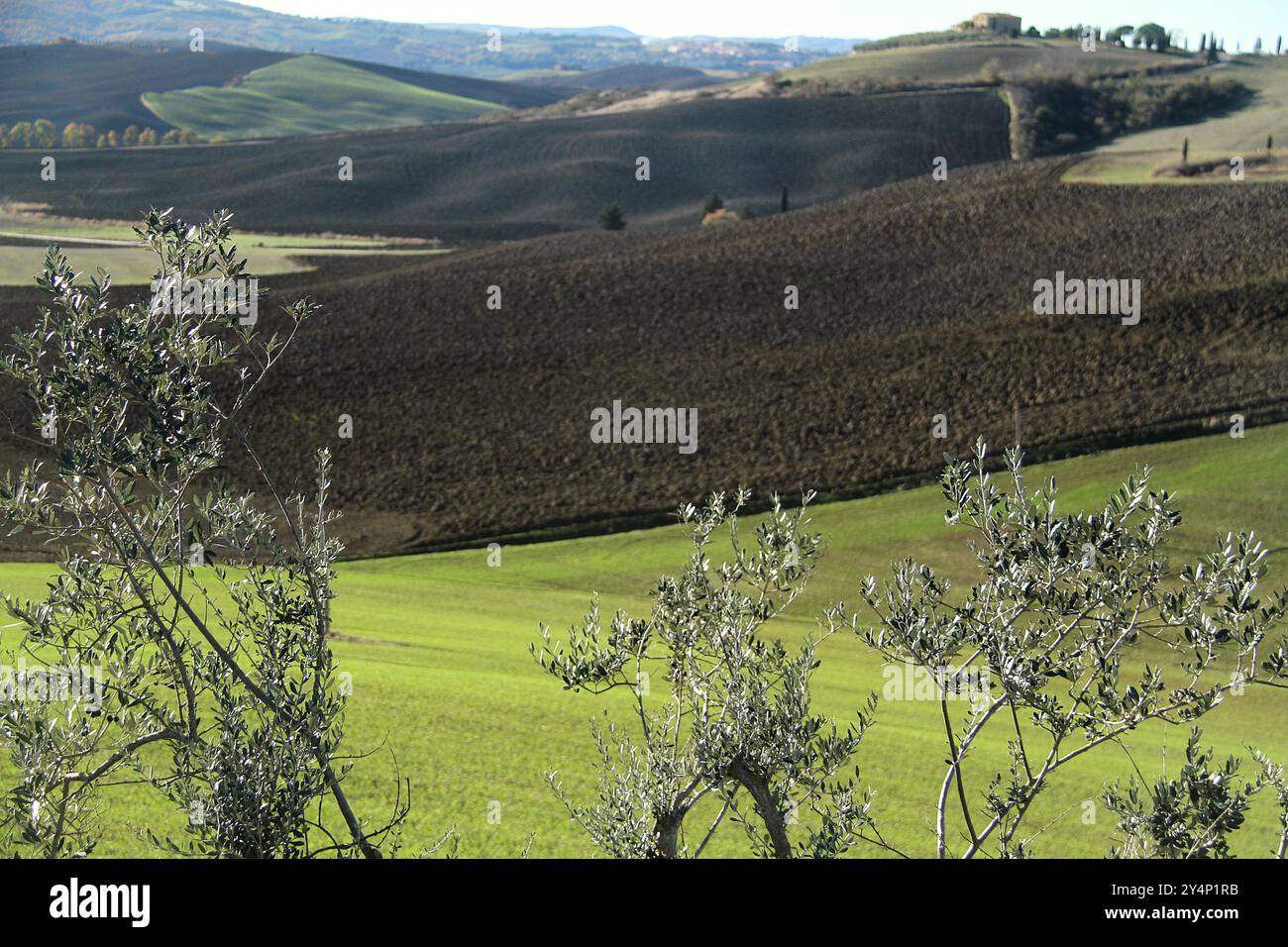 Landschaft Ende November im Val d'Orcia, Italien Stockfoto