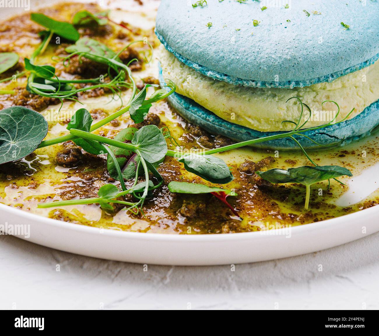 Molekulare Küche. Macarons mit Pastete auf weißer Platte Stockfoto