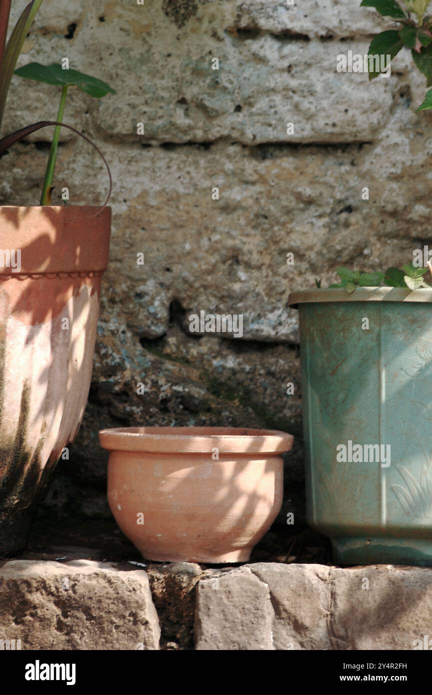 Banganga, Maharashtra/Indien - 24. Februar 2007: Ein kleiner Blumentopf. Stockfoto