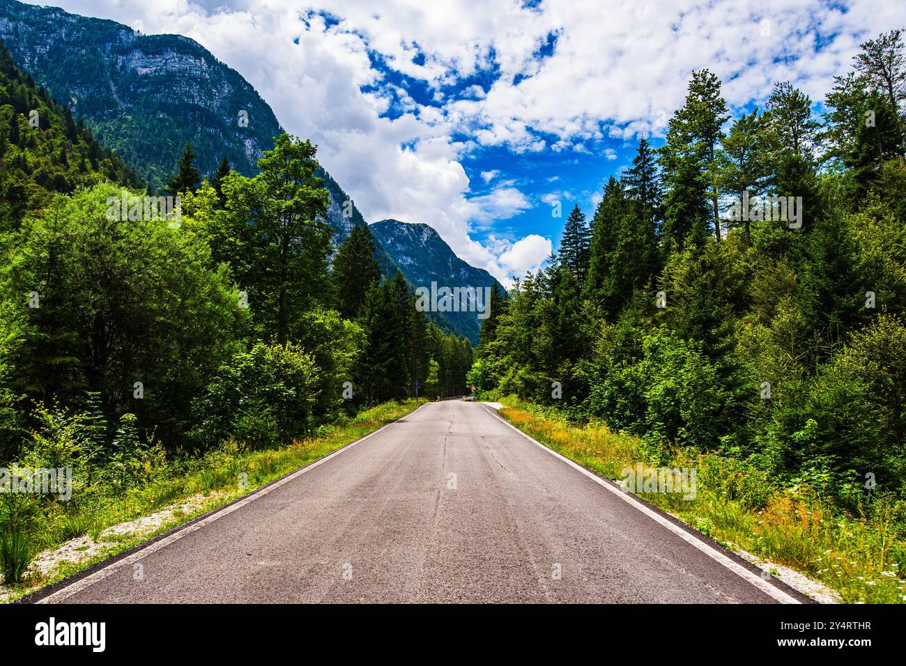 TARVISIO, ITALIEN – 23. JULI 2024: Der antike Wald in Tarvisio mit jahrhundertealten Bäumen und einer üppigen, unberührten natürlichen Umgebung, die das Land besonders hervorhebt Stockfoto