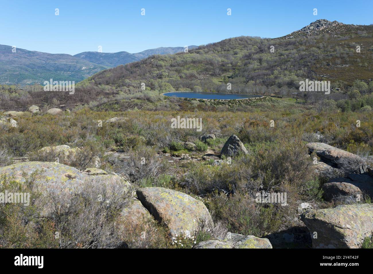 Ausgedehnte Berglandschaft mit einem kleinen See und Felsen umgeben von Sträuchern unter blauem Himmel, in der Nähe von Puerto de Piornal, Caceres, Cacares, Extremadura Stockfoto
