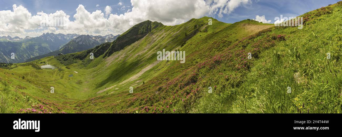 Alpenrosenblüte, Panorama vom Fellhorn über den Schlappoldsee und Bergstation der Fellhornbahn bis zum zentralen Hauptkamm des Allgi¿½ Stockfoto