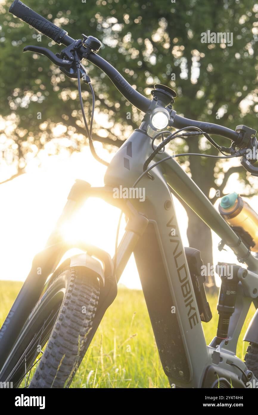 E-Bike steht im grünen Gras mit Sonnenlicht und Bäumen im Hintergrund, ruhige und idyllische Atmosphäre, Waldbike, E-Bike, Calw, Schwarzwald, G Stockfoto