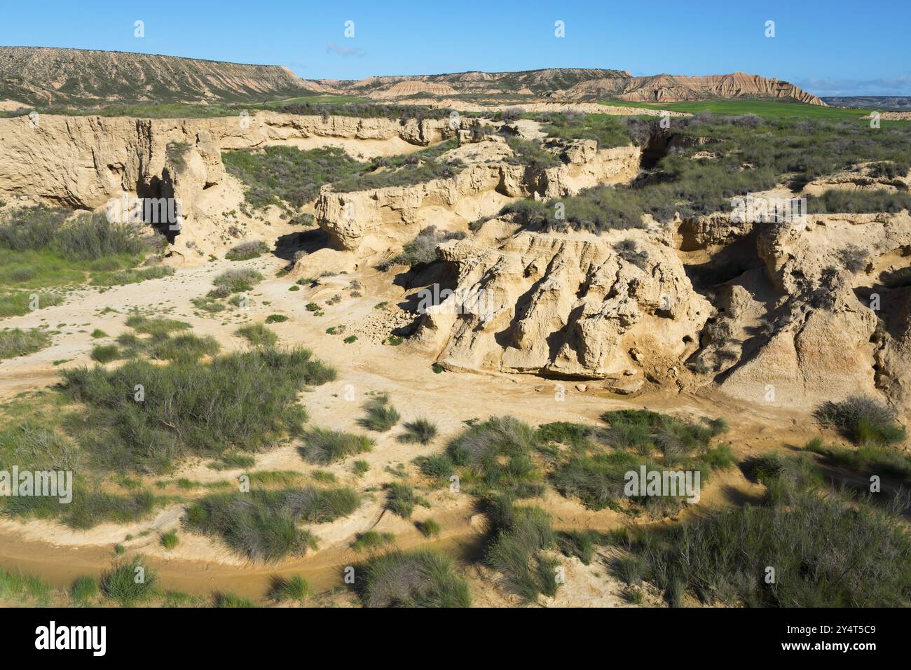 Felsige Canyonlandschaft mit karger Vegetation in einer trockenen, sonnigen Wüste, Bardenas Reales Naturpark, Wüste, Halbwüste, Navarra, Nafarroa, UNESCO Bio Stockfoto