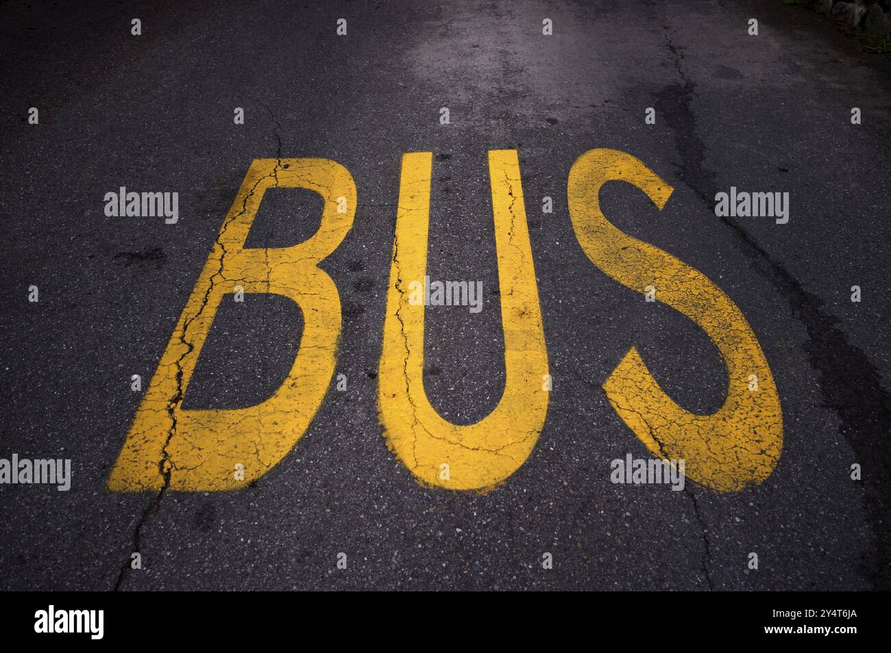 Busspur, Markierung auf Straße reservierte Fahrspur für Bus, Verkehr, Schenna, Schenna, Südtirol, autonome Provinz Bozen, Italien, Europa Stockfoto