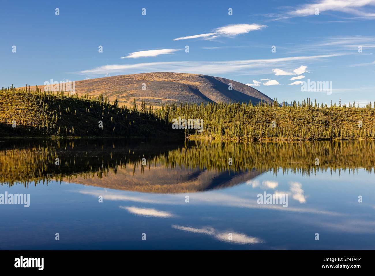 Reflexion der Wrangell-Berge in Twin Lakes in Wrangell-St. Elias NP, Alaska. Stockfoto