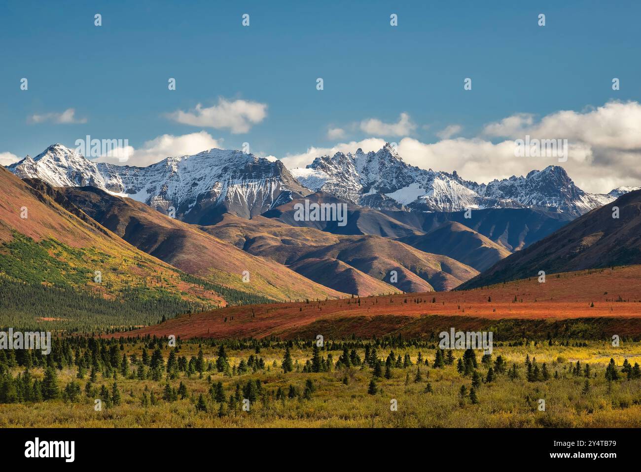 Herbstfarben und die Alaska Range im Denali National Park. Stockfoto