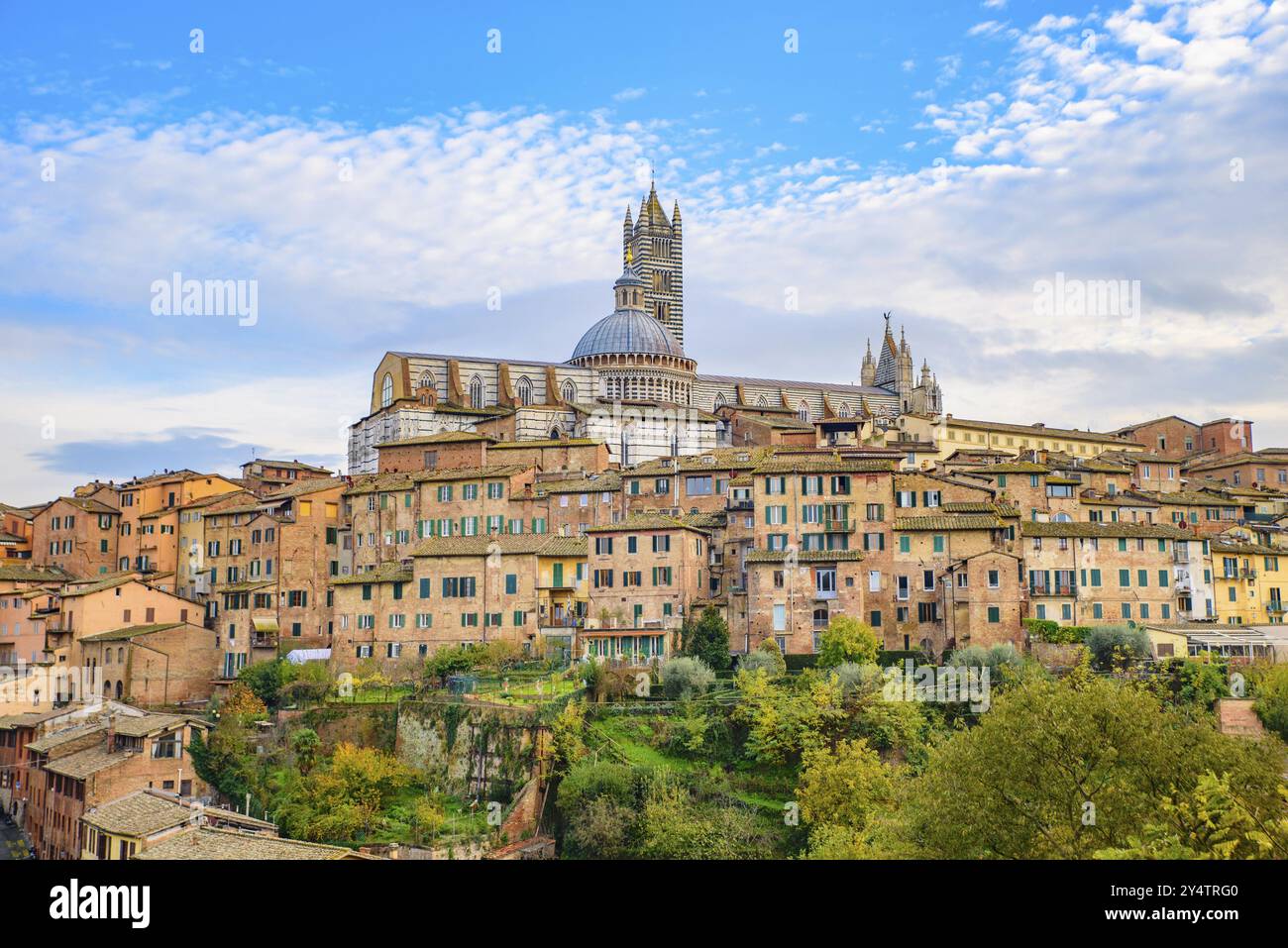 Blick auf das historische Zentrum von Siena, Toskana, Italien, Europa Stockfoto