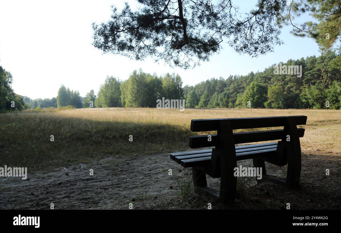 Bank Bank Parkbank am Waldrand, Wiese, Naherholung, typisches Feature Symbolbild, Einsamkeit, Ruhe, Erholung / Brandenburg / 18.09.2024 / Copyright: Kontrast / O.. Behrendt / Kontrastphotoagentur / *** Bank Parkbank am Waldrand, Wiese, Erholung, typisches Feature Symbolbild, Einsamkeit, Ruhe, Erholung Brandenburg 18 09 2024 Copyright Kontrast O Behrendt Kontrastphotoagentur Stockfoto