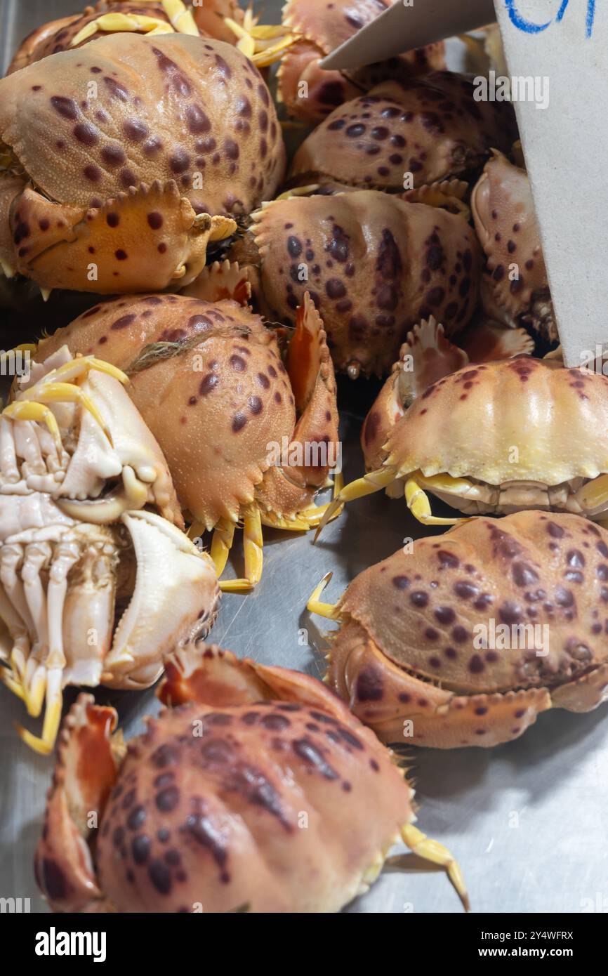 Auswahl an frischen Meeresfrüchten, täglichen Fängen von Cangrejo-roten Krebsen auf dem Fischmarkt in Jerez de la Frontera, Andalusien, Spanien Stockfoto