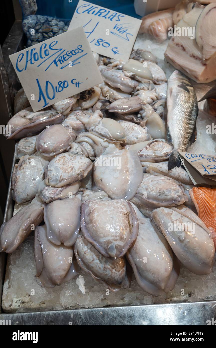 Auswahl an frischen Meeresfrüchten täglich Fang von weißen spanischen Schokolade Tintenfisch, auf Eis auf dem Fischmarkt in Jerez de la Frontera, Andalusien, Spanien Stockfoto