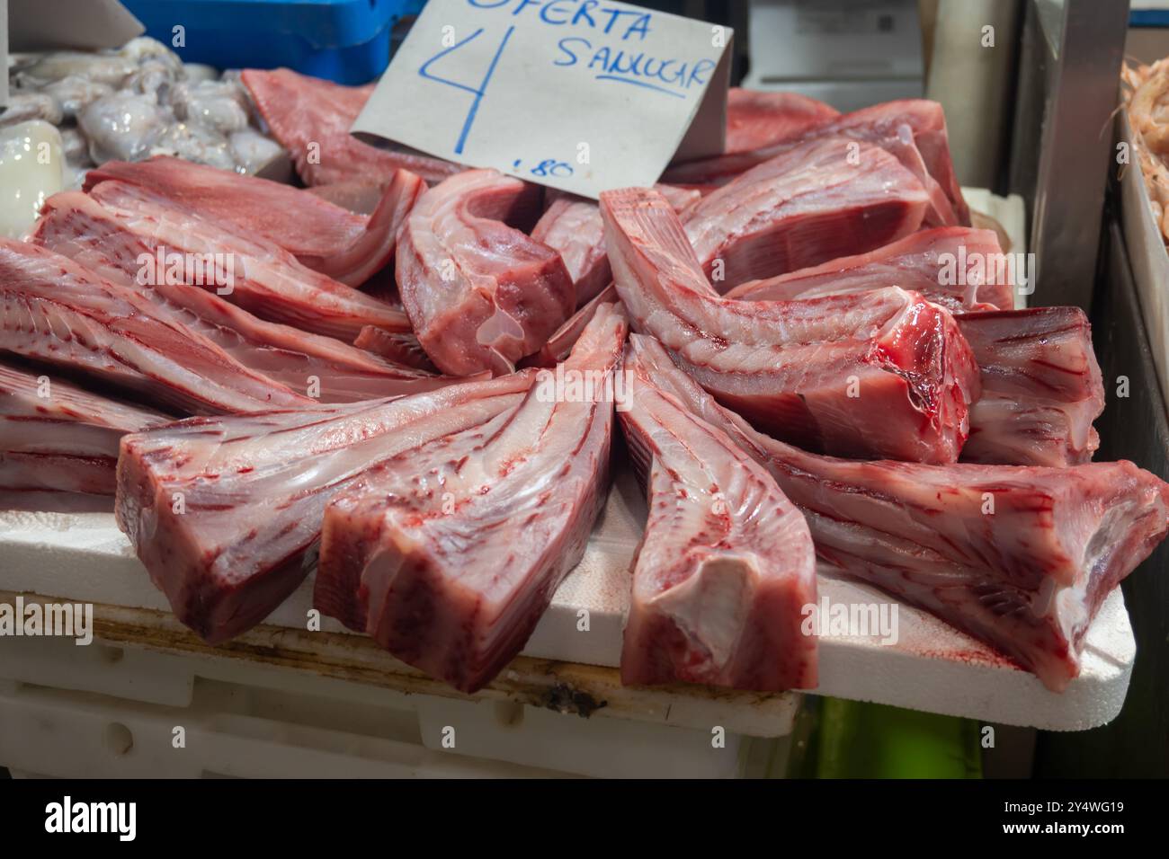 Auswahl an täglichen Fängen von Thunfisch, Kason, Haien, Fischen, Garnelen, Muscheln, Weichtiere auf Eis auf dem Fischmarkt in Jerez de la Frontera, Andalus Stockfoto