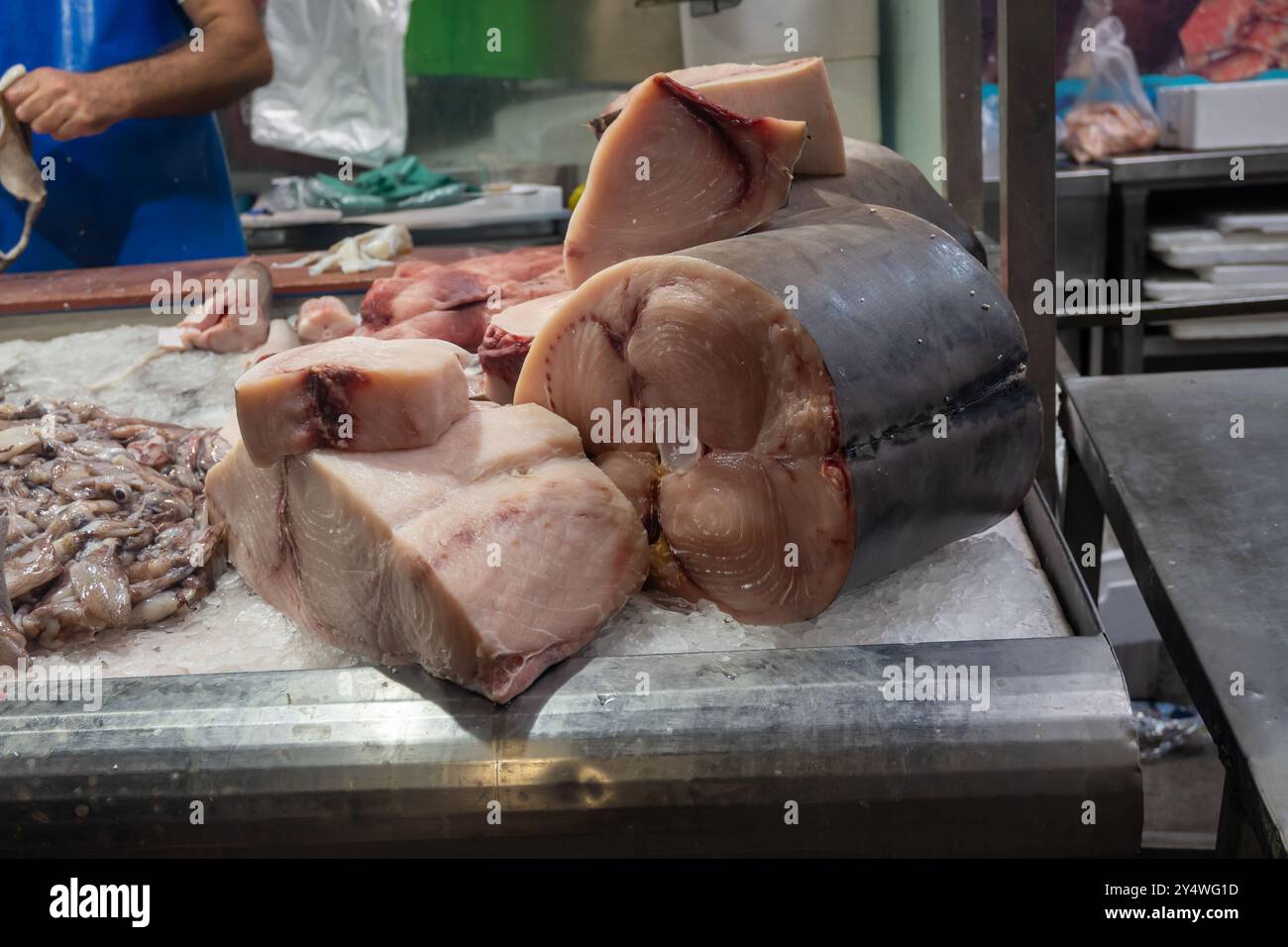 Auswahl an täglichen Fängen von Thunfisch, Kason, Haien, Fischen, Garnelen, Muscheln, Weichtiere auf Eis auf dem Fischmarkt in Jerez de la Frontera, Andalus Stockfoto