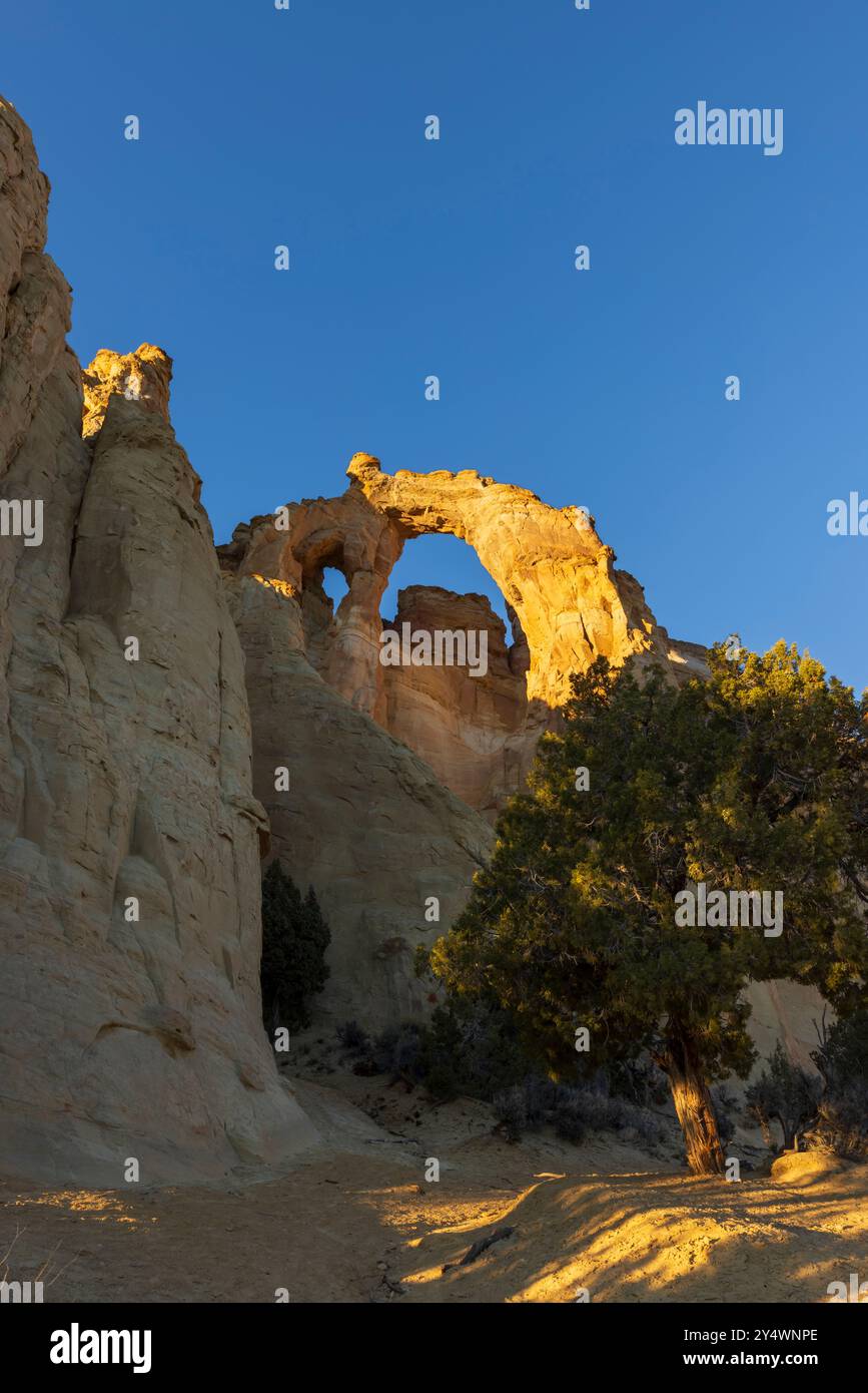 Grosvenor Arch bei Sonnenuntergang im Grand Staircase-Escalante National Monument, Utah Stockfoto