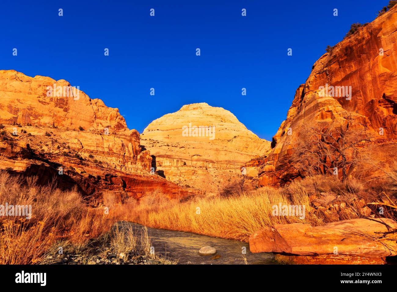 Capitol Dome und Freemont River kurz vor Sonnenuntergang im Capitol Reef National Park, Utah Stockfoto